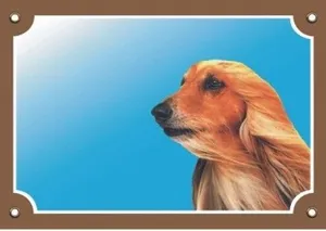 Színes jel Figyelem kutya, afgán kopó